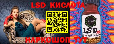 прущие грибы Кандалакша