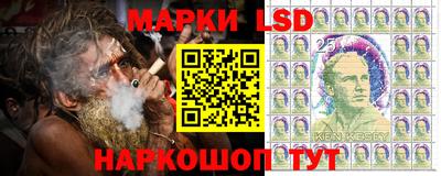 прущие грибы Кандалакша