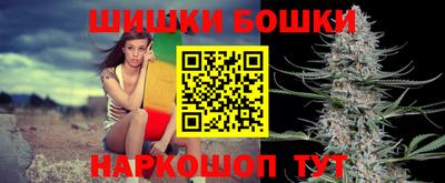 spice Камышлов