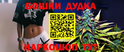 spice Камышлов