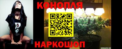 spice Камышлов