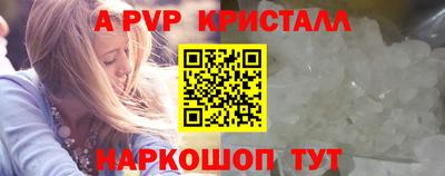 ешки Кингисепп